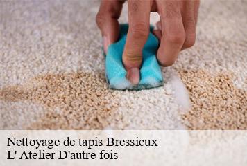 Nettoyage de tapis  bressieux-38870 L' Atelier D'autre fois