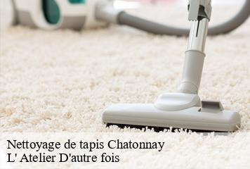 Nettoyage de tapis  chatonnay-38440 L' Atelier D'autre fois