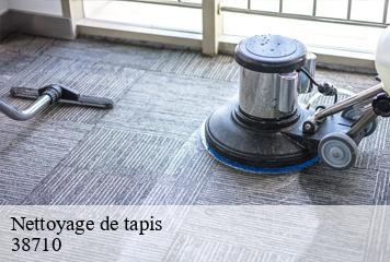 Nettoyage de tapis  cornillon-en-trieves-38710 L' Atelier D'autre fois