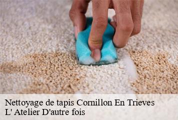 Nettoyage de tapis  cornillon-en-trieves-38710 L' Atelier D'autre fois