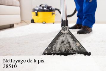 Nettoyage de tapis  creys-mepieu-38510 L' Atelier D'autre fois