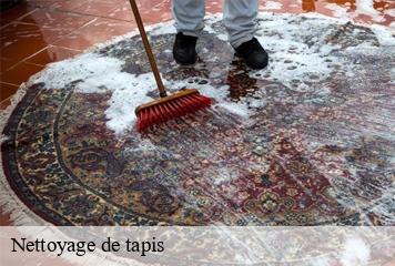 Nettoyage de tapis  creys-mepieu-38510 L' Atelier D'autre fois