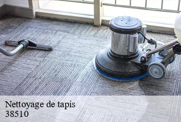 Nettoyage de tapis  creys-mepieu-38510 L' Atelier D'autre fois