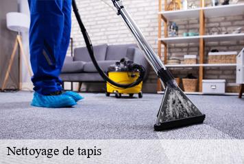Nettoyage de tapis  creys-mepieu-38510 L' Atelier D'autre fois