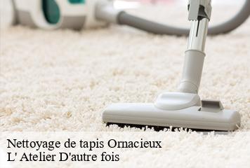 Nettoyage de tapis  ornacieux-38260 L' Atelier D'autre fois