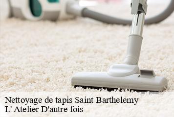 Nettoyage de tapis  saint-barthelemy-38270 L' Atelier D'autre fois