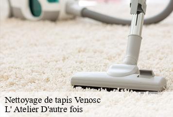 Nettoyage de tapis  venosc-38520 L' Atelier D'autre fois