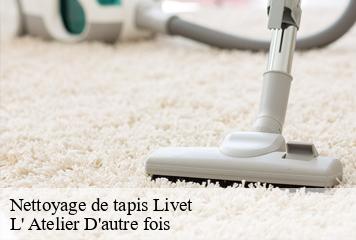 Nettoyage de tapis  livet-38220 L' Atelier D'autre fois