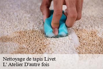 Nettoyage de tapis  livet-38220 L' Atelier D'autre fois